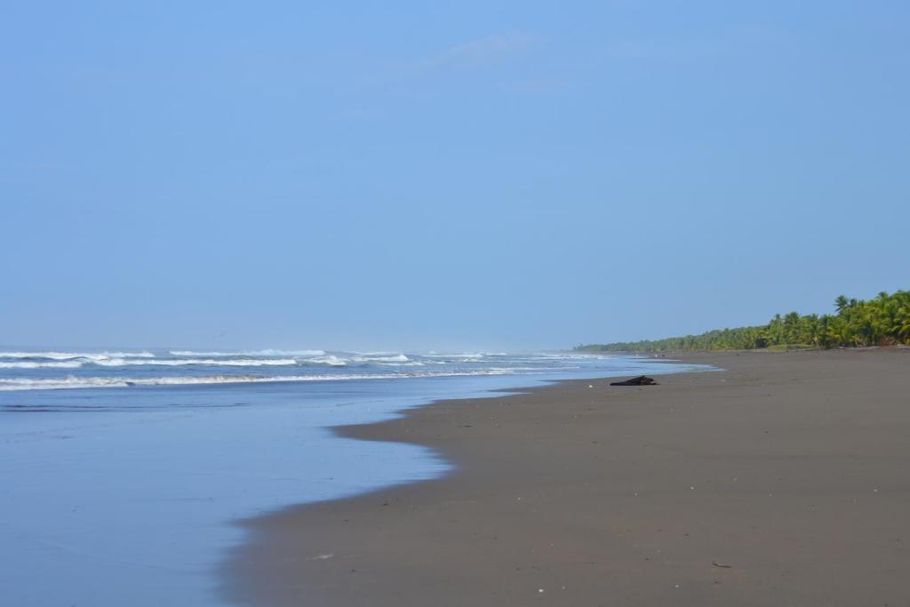 Hotel La Isla Parrita Luaran gambar
