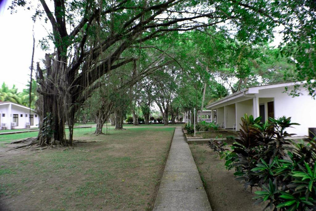 Hotel La Isla Parrita Luaran gambar