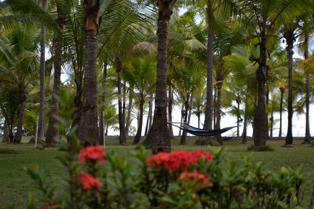 Hotel La Isla Parrita Luaran gambar