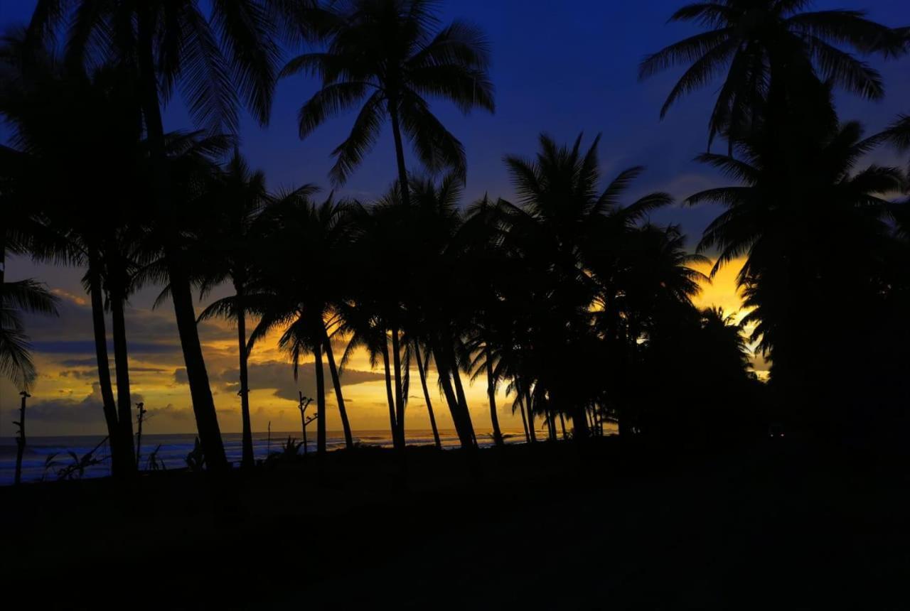 Hotel La Isla Parrita Luaran gambar
